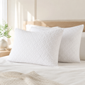 Set of 2 Quilted Pillows